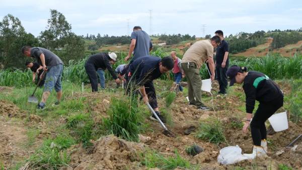 1750394790154447.jpg 20.jpg