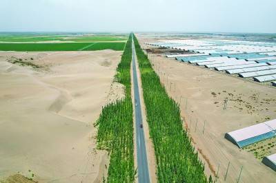 1750645932163913.jpg 5.jpg