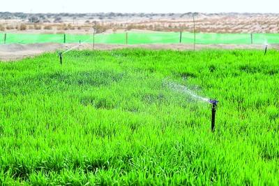 1750645941276868.jpg 6.jpg