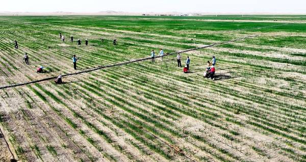 1750646355618962.jpg 11.jpg