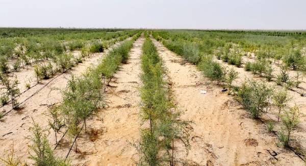 1750646361200050.jpg 12.jpg