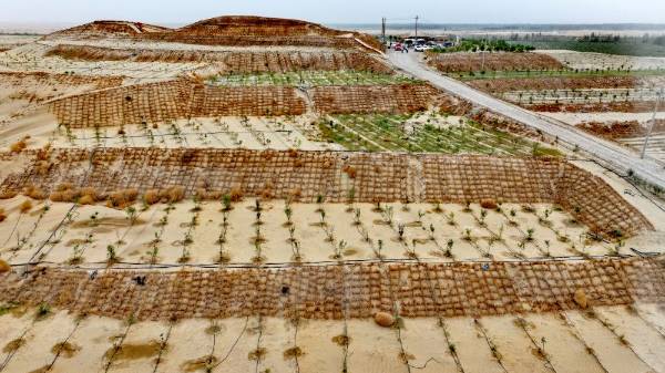 1750646371234057.jpg 14.jpg