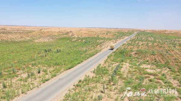 1750646482360138.jpg 16.jpg