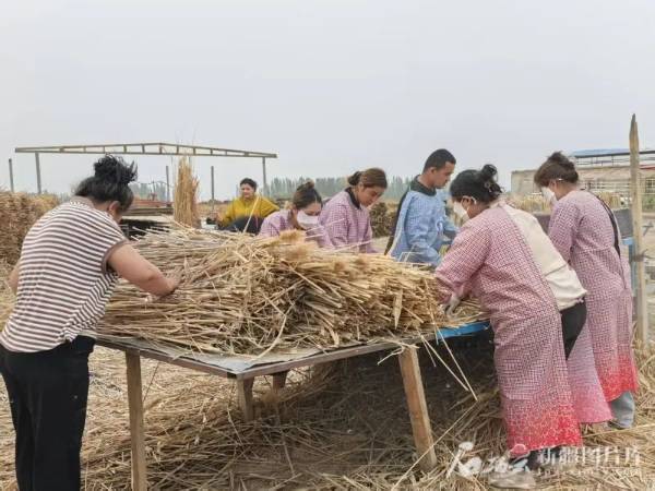 1750646616379749.jpg 17.jpg