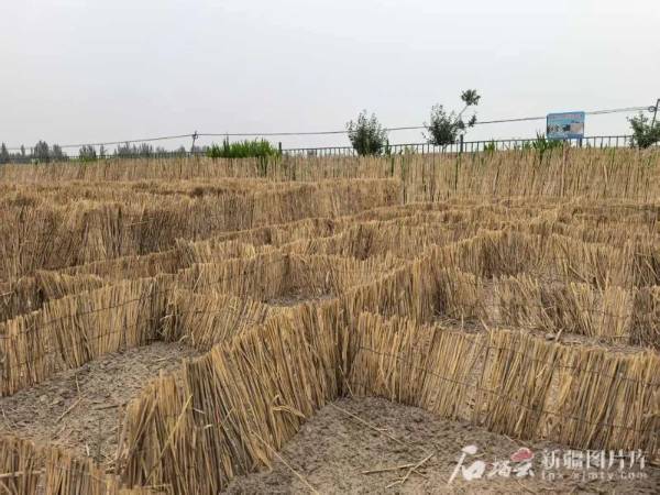 1750646623272741.jpg 18.jpg