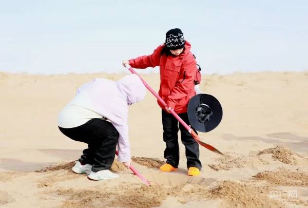 1750726497794734.jpg 微信图片_20250624085648 (1).jpg