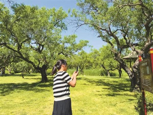 1750730545608770.jpg 3.jpg