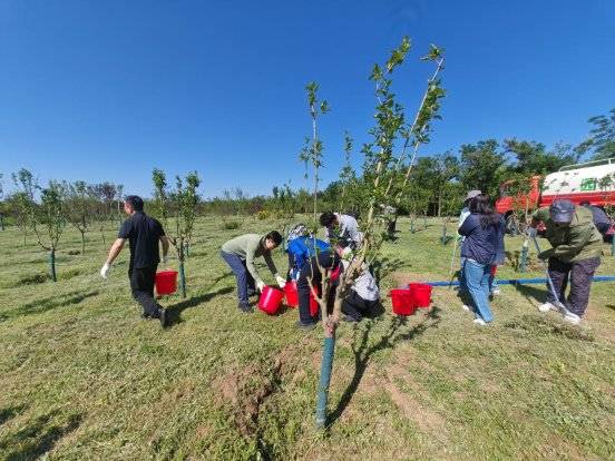 1750730775136097.jpg 5 (1).jpg