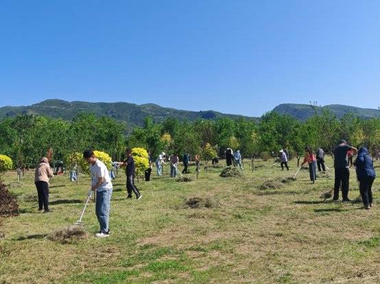 1750730779780101.jpg 6 (1).jpg