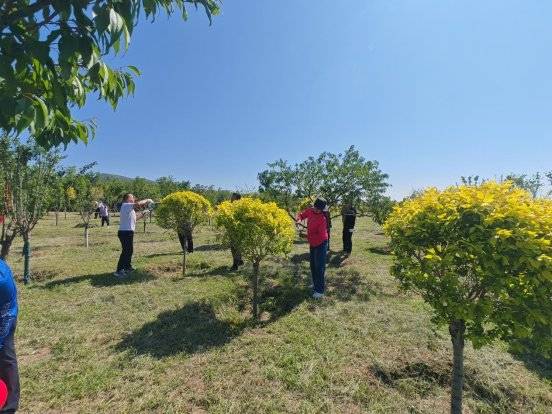 1750730783746723.jpg 7 (1).jpg