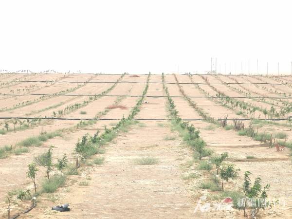 1750734405197940.jpg 1.jpg