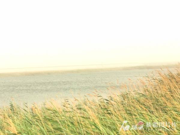 1750734413948857.jpg 2.jpg