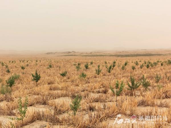 1750734420646203.jpg 3.jpg