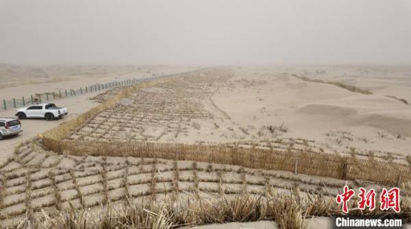 1750734953159843.jpg 7.jpg