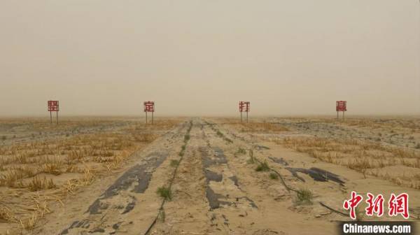 1750734961526407.jpg 8.jpg