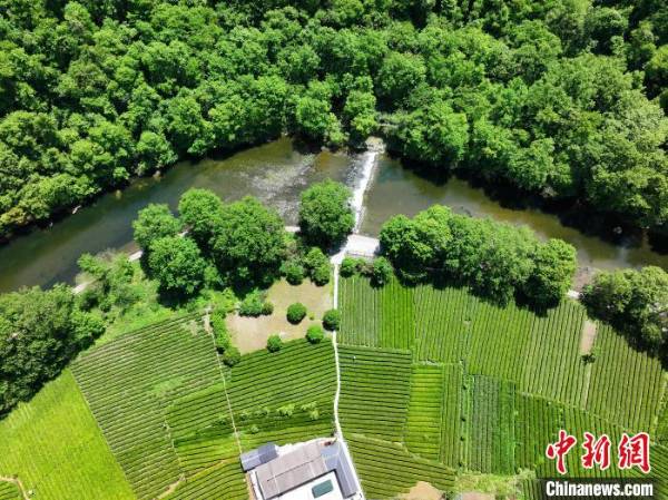 1750735077285372.jpg 11.jpg