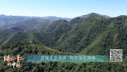 1750735196164249.gif 13.gif