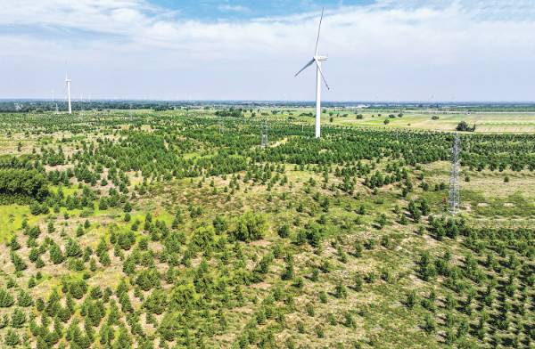 1750903209647010.jpg 1 (1).jpg