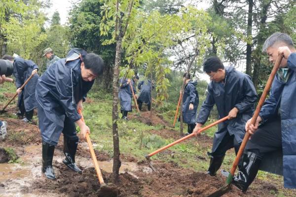 1750904442183085.jpg 2 (1).jpg