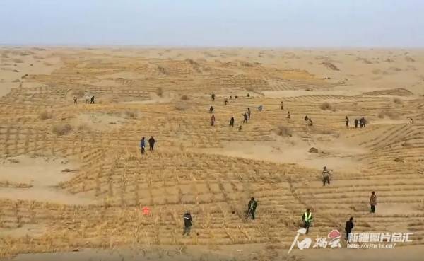 1750904692490431.jpg 4 (1).jpg