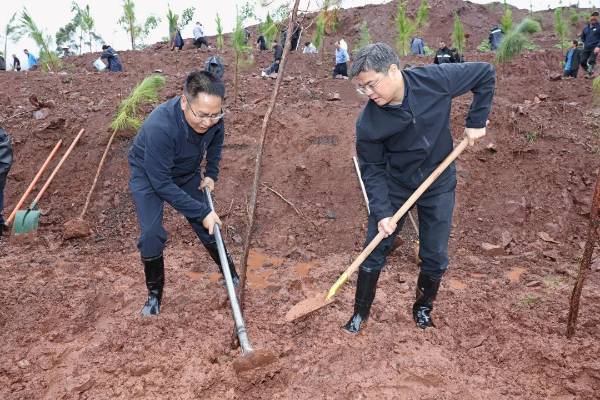 1751006449454531.jpg 1 (1).jpg