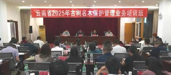 1751006792630149.jpg 2.jpg