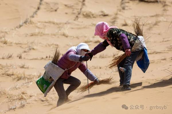 1751251858457809.jpg 2.jpg