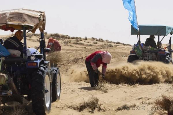 1751251877680317.jpg 3.jpg