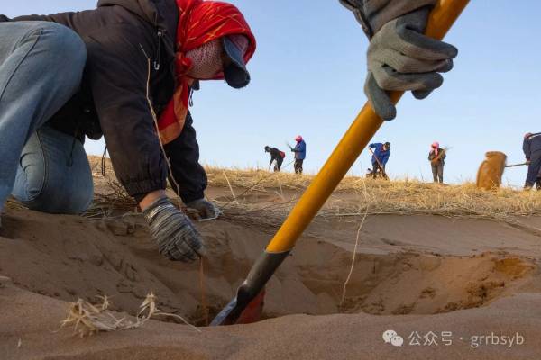 1751251902425811.jpg 5.jpg