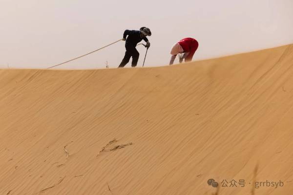 1751251931336835.jpg 7.jpg