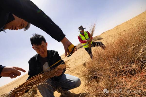 1751251986189999.jpg 13.jpg