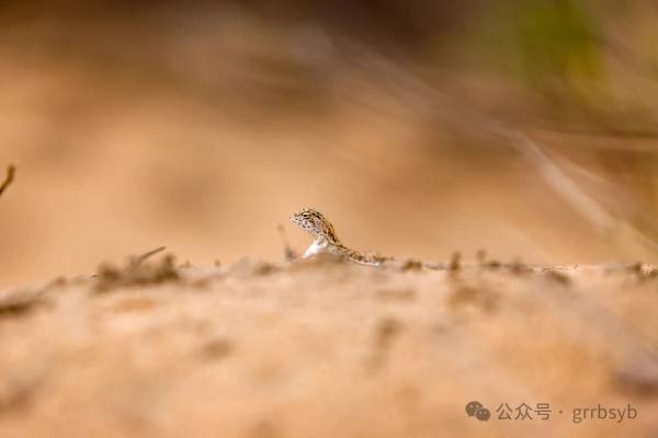 1751252029348225.jpg 17.jpg