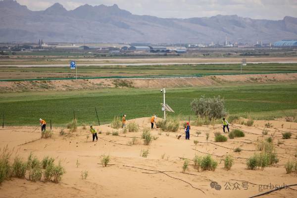 1751252035366322.jpg 19.jpg