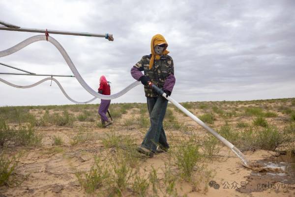 1751252048724352.jpg 21.jpg