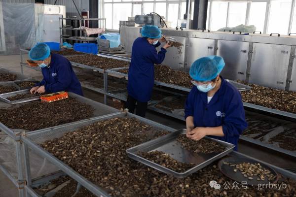 1751252082397532.jpg 25.jpg