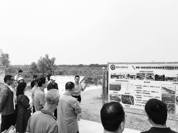 1751252422378266.jpg 1 (1).jpg