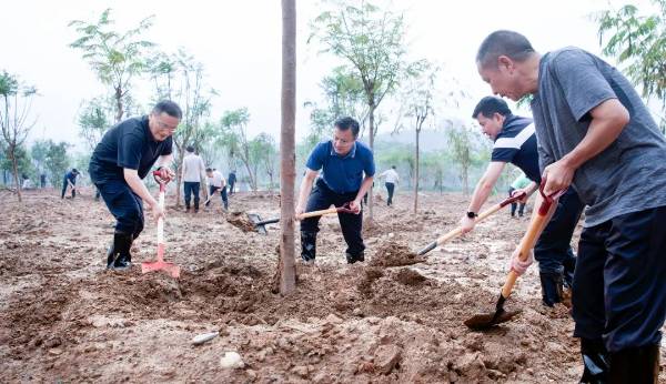 1751253220482378.jpg 1.jpg