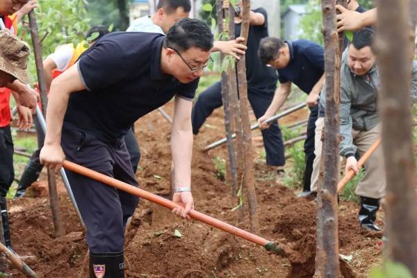 1751253498878256.jpg 2.jpg