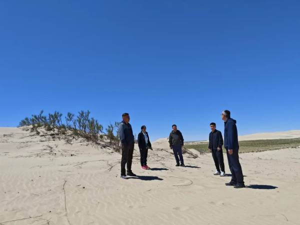 1751421284685752.jpg 2 (1).jpg