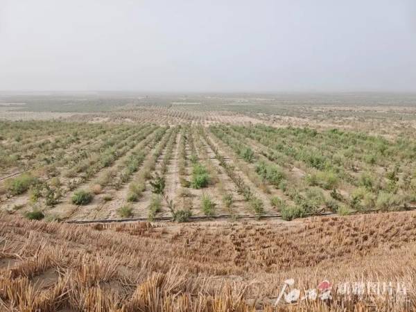 1751421425646652.jpg 4 (1).jpg