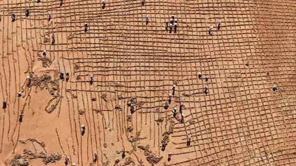 1751421650397735.jpg 6 (1).jpg