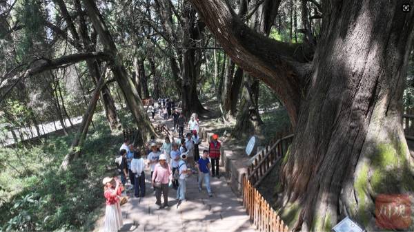 1751422081800632.jpg 1 (1).jpg