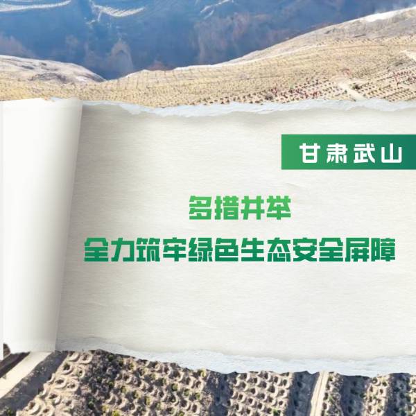 1751422259890498.jpg 1 (1).jpg