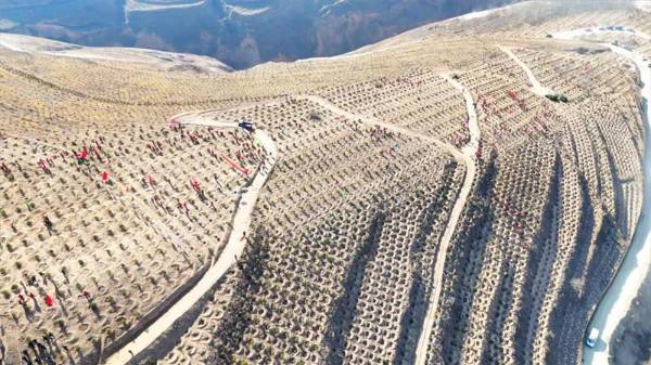 1751422267524141.jpg 2 (1).jpg