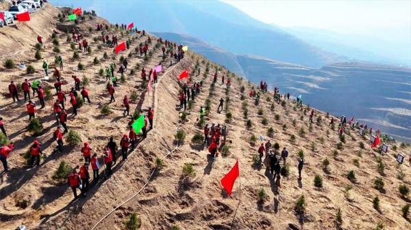 1751422316100034.jpg 3 (1).jpg