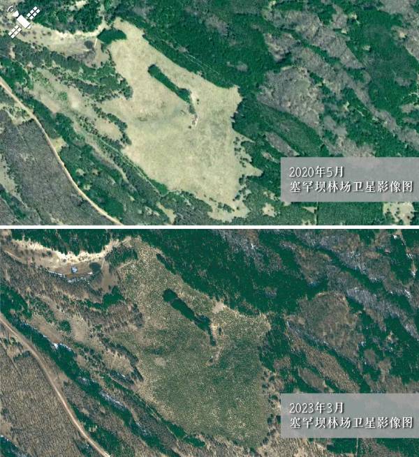 1751508630455307.jpg 3.jpg