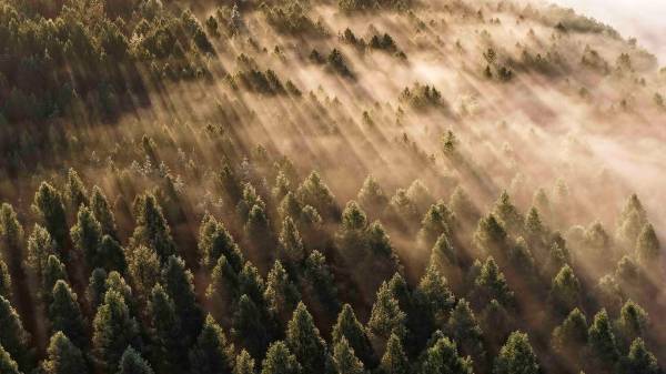 1751508646917048.jpg 5.jpg