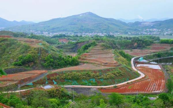 1751508773221324.jpg 18.jpg