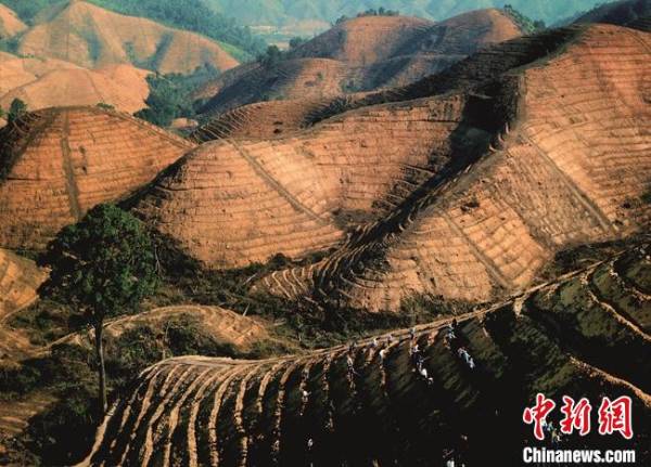 1751508928268992.jpg 19.jpg