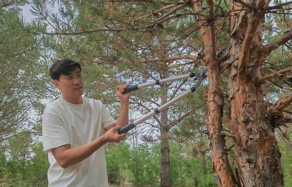 1751509159169190.jpg 23.jpg